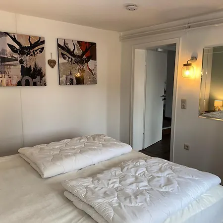 Apartamento Primeloft Hirsch - 3 Min Zur Wurmbergseilbahn - Eg - Eigener Eingang - Parkplatz - 84qm Braunlage