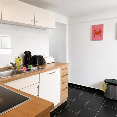 Apartment Primeloft Hirsch - 3 Min Zur Wurmbergseilbahn - Eg - Eigener Eingang - Parkplatz - 84qm *